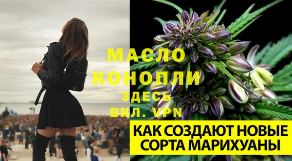 2c-b Бронницы