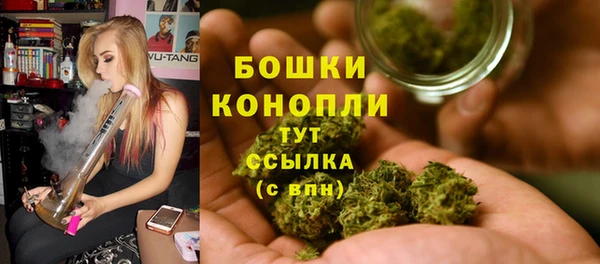 2c-b Бронницы